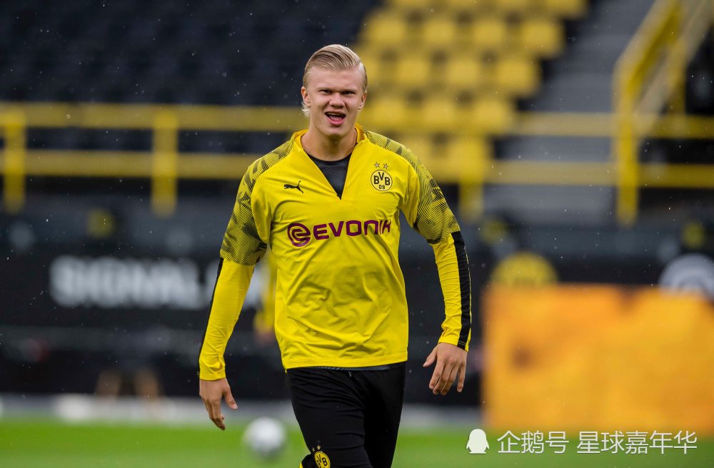 今夜费耶诺德篮板制胜——法国杯节点到来，悬念犹存，医务组通报恢复